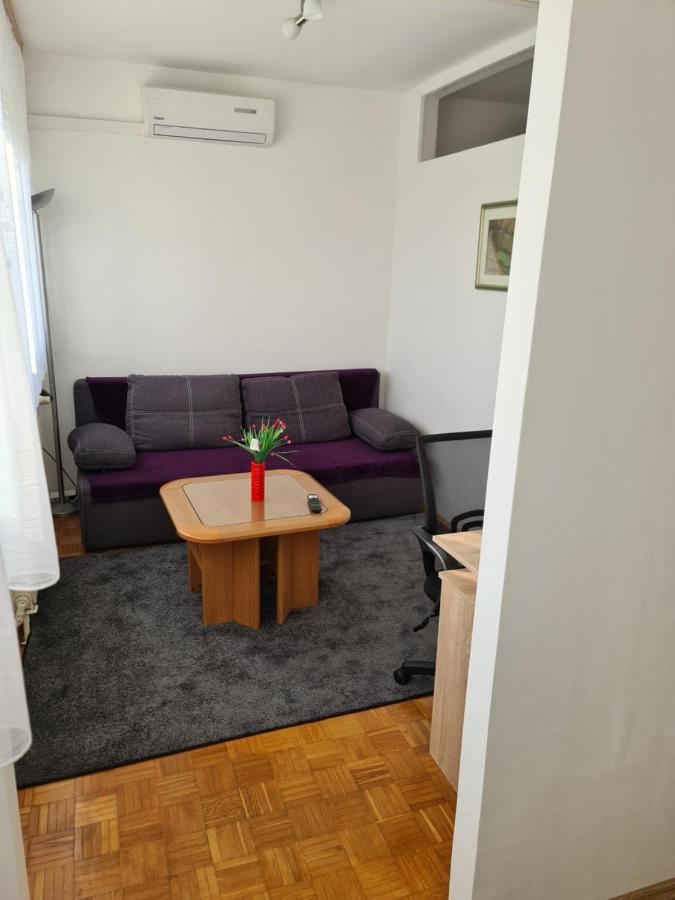 Apartman U Velikoj Gorici Zeljko ヴェリカ・ゴリツァ エクステリア 写真