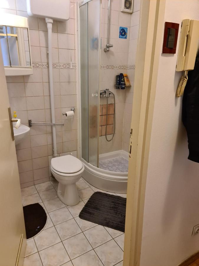Apartman U Velikoj Gorici Zeljko ヴェリカ・ゴリツァ エクステリア 写真